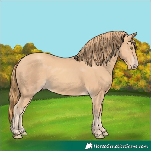 Horse Color:Gold Champagne