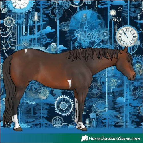 Horse Color:Brown Tobiano