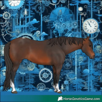 Horse Color:Brown Tobiano 