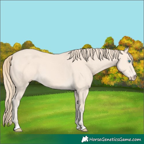 Horse Color:Perlino