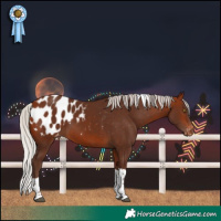 Horse Color:Silver Bay Tobiano Blanket