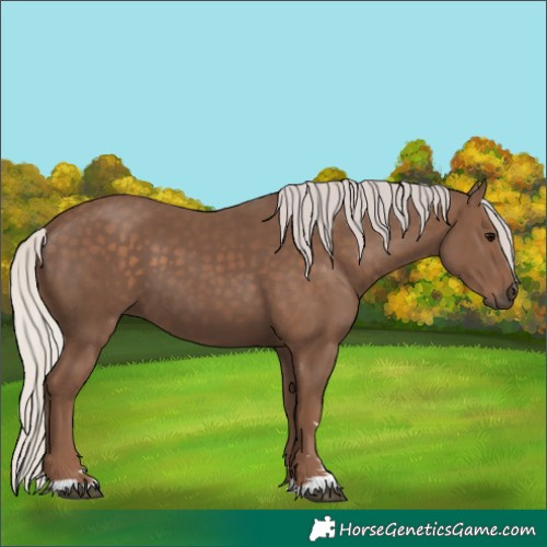 Horse Color:Unknown 