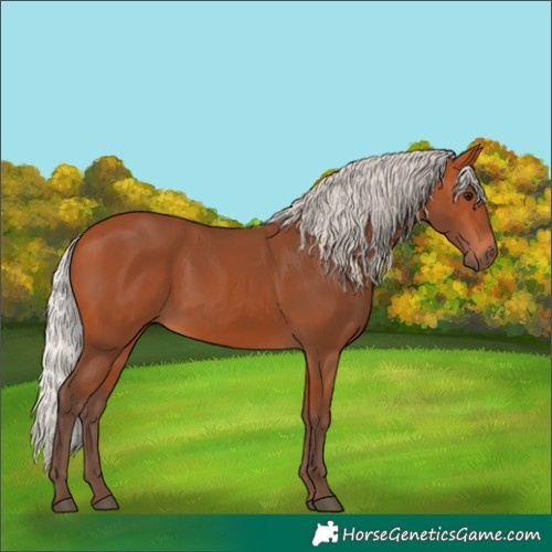 Horse Color:Silver Bay 