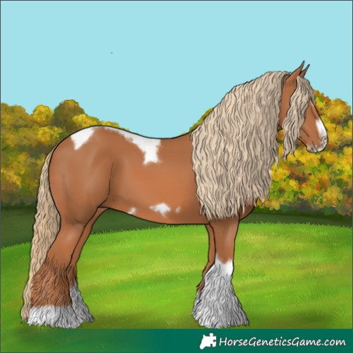 Horse Color:Chestnut Tobiano Frame 