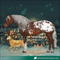 Horse Color:Silver Brown Tobiano Appaloosa