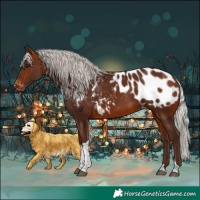 Horse Color:Silver Brown Tobiano Appaloosa 