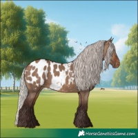 Horse Color:Silver Brown Dun Appaloosa 