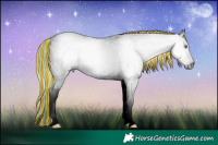 Horse Color:Gray Void Painted Watercolor Classic Champagne Ice Dun Tobiano Appaloosa 