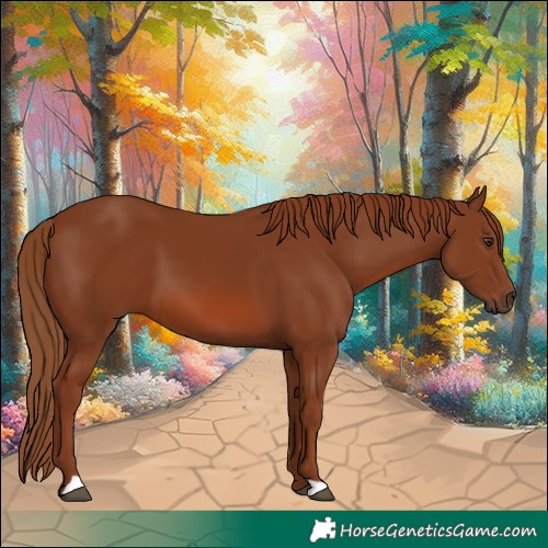 Horse Color:Chestnut 