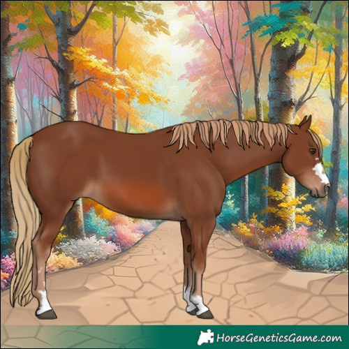 Horse Color:Chestnut 