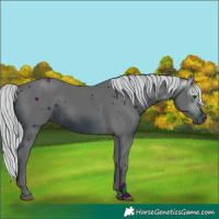 Horse Color:ERROR: UNKNOWN ANOMALY
