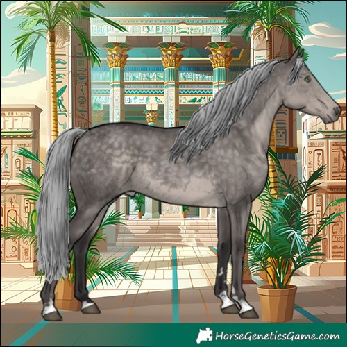Horse Color:Platinum Silver Smoky Grullo 
