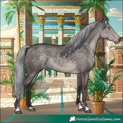 Horse Color:Platinum Silver Smoky Grullo