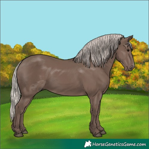 Horse Color:Silver Black