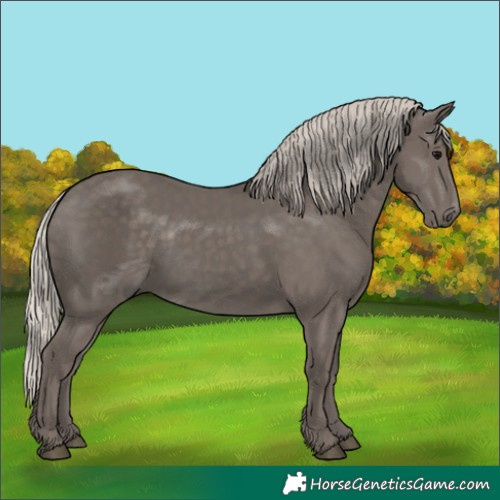 Horse Color:Silver Black