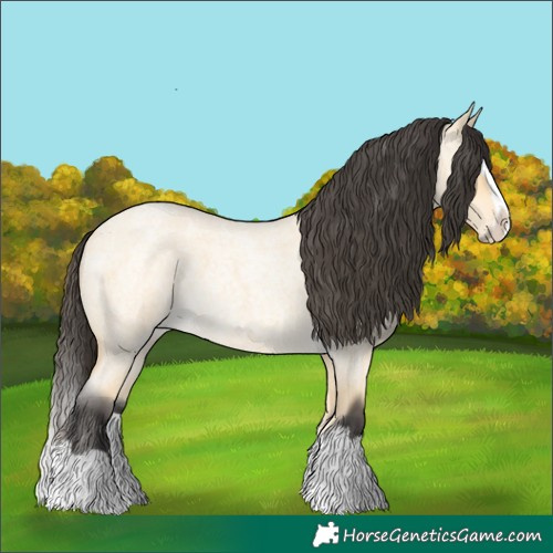 Horse Color:Buckskin Roan Dun Splash 