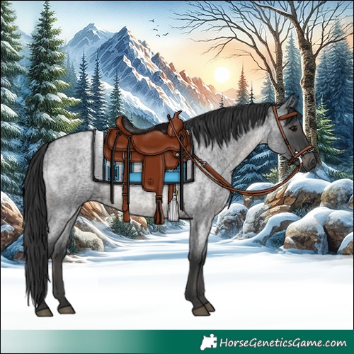 Horse Color:Blue Roan