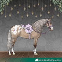 Horse Color:Silver Brown Dun Blanket 