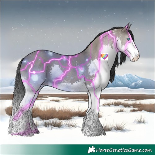 Horse Color:Grullo Sabino Splash Rabicano 