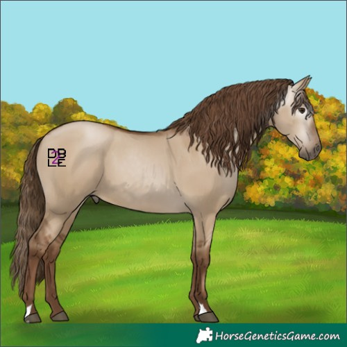 Horse Color:Gray Grullo Pearl 