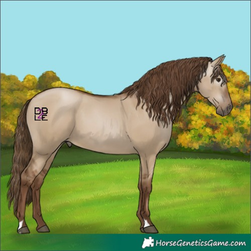 Horse Color:Gray Grullo Pearl 