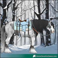 Horse Color:Blue Roan Sabino Splash and Blue Roan Sabino Splash