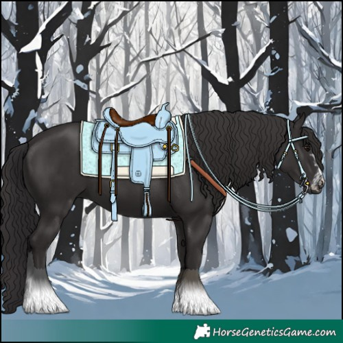 Horse Color:Smoky Black  and Smoky Black 