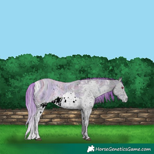Horse Color:ERROR: UNKNOWN ANOMALY