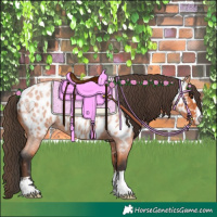Horse Color:Bay Roan Near Leopard 