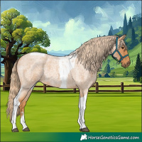 Horse Color:Red Roan Tobiano