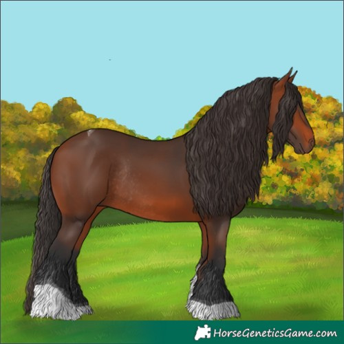 Horse Color:Bay Tobiano Rabicano