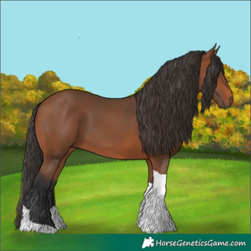 Horse Color:Bay Tobiano Rabicano 