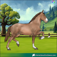 Horse Color:Liver Chestnut Pearl 