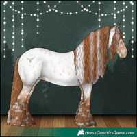 Horse Color:Red Roan Near Leopard