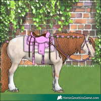 Horse Color:Classic Champagne Pearl Dun Sabino Tobiano
