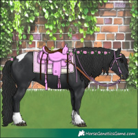 Horse Color:Black Tobiano 