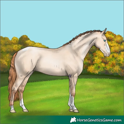 Horse Color:Sable Champagne Pearl Dun Sabino Tobiano 