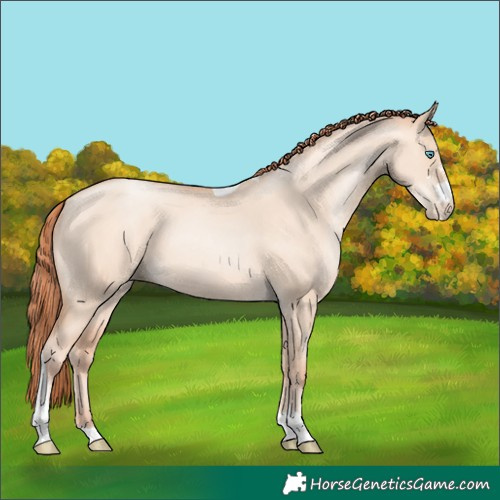 Horse Color:Sable Champagne Pearl Dun Sabino Tobiano