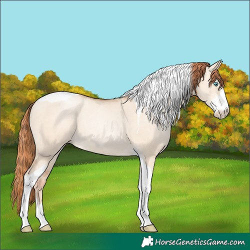 Horse Color:Sable Champagne Pearl Dun Sabino Tobiano 