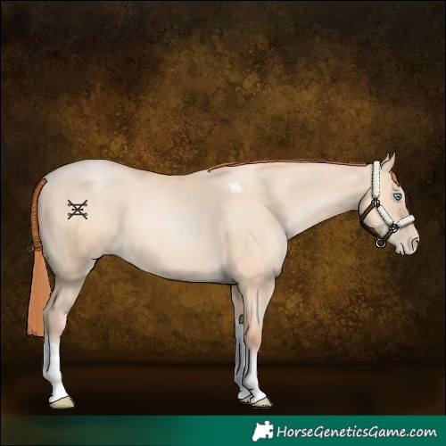 Horse Color:Sable Champagne Pearl Dun Sabino Tobiano