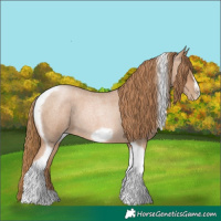 Horse Color:Red Roan Pearl Tobiano Frame