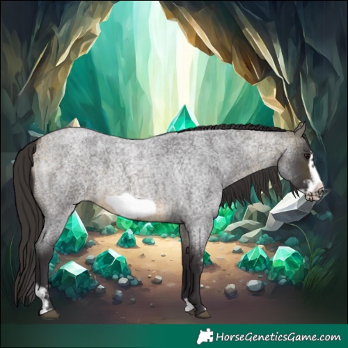 Horse Color:Buckskin Roan Sabino Frame 