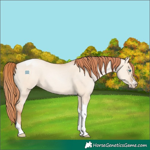 Horse Color:Sable Champagne Pearl Dun Sabino Tobiano 