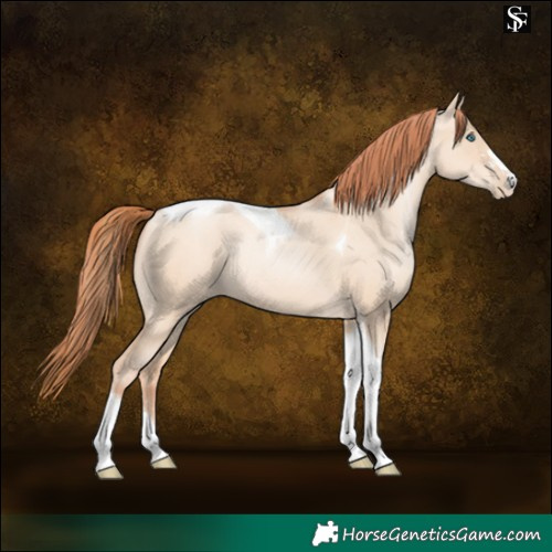 Horse Color:Sable Champagne Pearl Dun Sabino Tobiano 