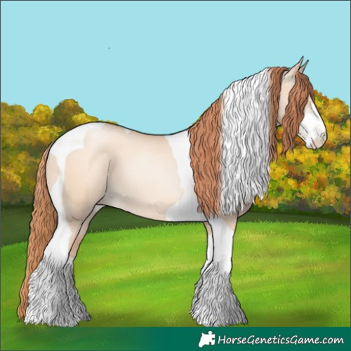 Horse Color:Sable Champagne Pearl Dun Sabino Tobiano