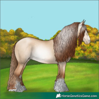 Horse Color:Gray Sable Champagne Pearl Dun Sabino Tobiano 