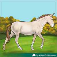 Horse Color:Sable Champagne Pearl Dun Sabino Tobiano