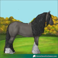 Horse Color:Grullo Tobiano 