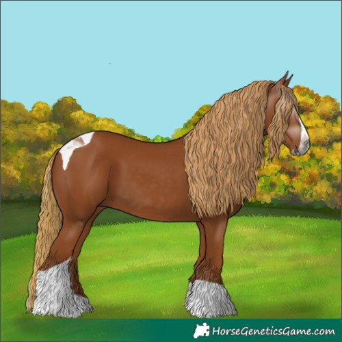 Horse Color:Gray Chestnut Splash Tobiano 