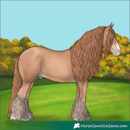 Horse Color:Gold Champagne Splash 